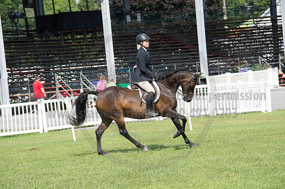 2016DCF_08252016_SCL_9724