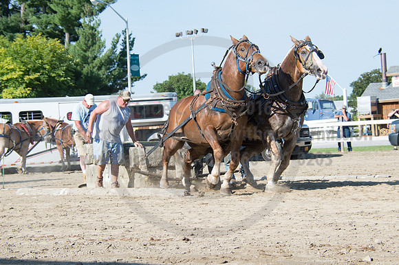 2016DCF_08242016_SCL_9457