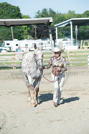2016DCF_08272016_SCL_0955