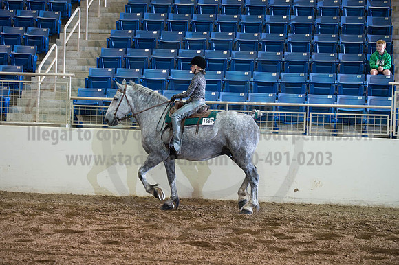 2016 _KILE_10082016_SCL9446