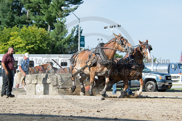 2016DCF_08242016_SCL_9485
