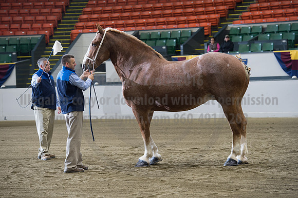 NABC8_10132016_SCL_5113
