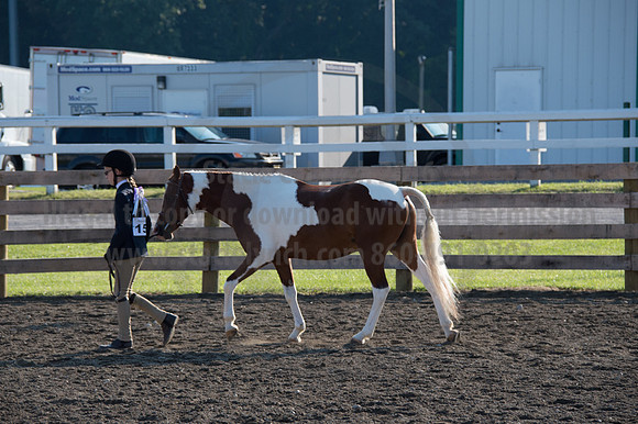 2016DCF_08242016_SCL_8320