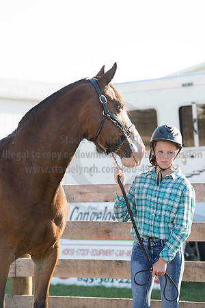 2016DCF_08272016_SCL_0906