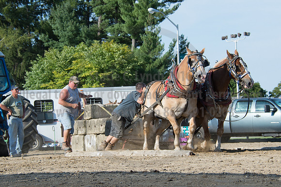 2016DCF_08242016_SCL_9558