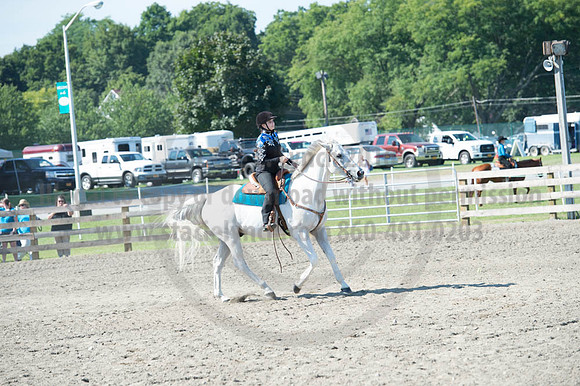 2016DCF_08272016_SCL_1080