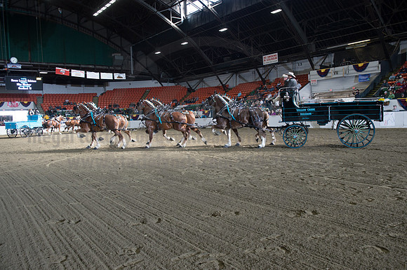 NABC8_10142016_SCL_8636