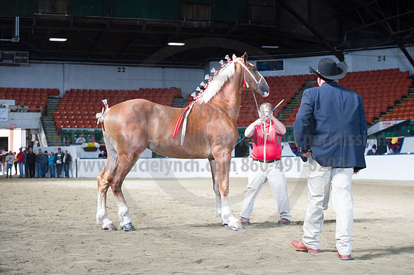 NABC8_10122016_SCL_2922