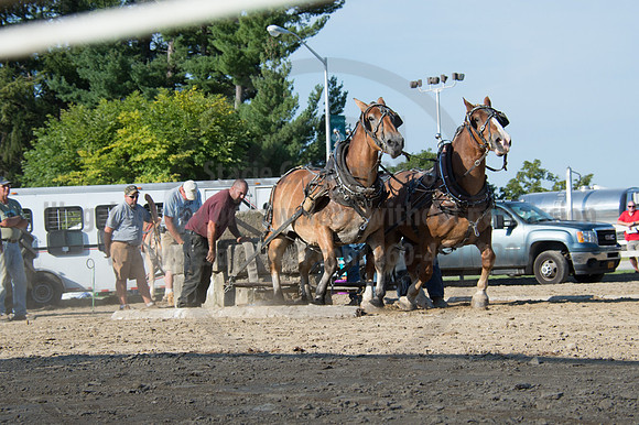 2016DCF_08242016_SCL_9551