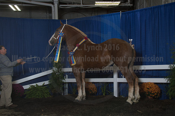 NABC8_10152016_SCL_1866
