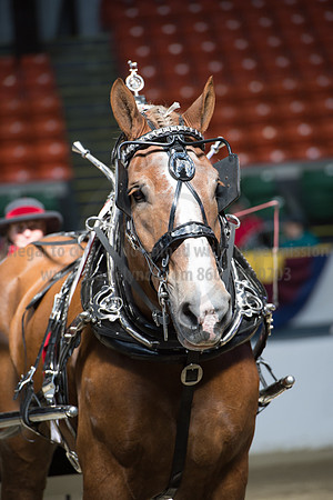 NABC8_10142016_SCL_8438