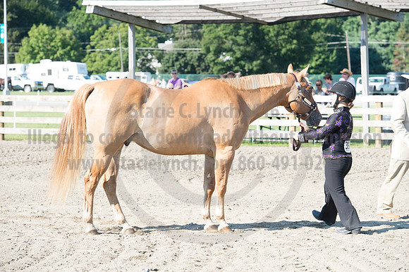 2016DCF_08272016_SCL_1013