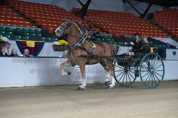 NABC8_10152016_SCL_0355