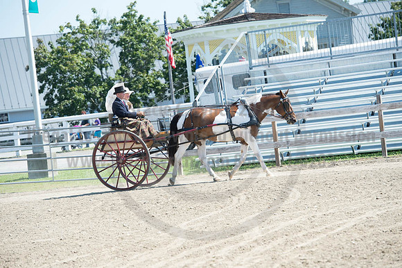 2016DCF_08272016_SCL_1149