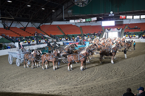 NABC8_10142016_SCL_8759