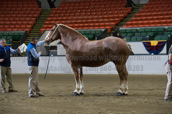 NABC8_10132016_SCL_5111
