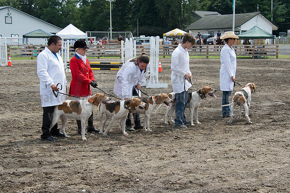 2016DCF_08252016_SCL_9829