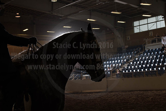 2016 _KILE_10082016_SCL9378