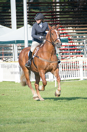 2016DCF_08242016_SCL_8346