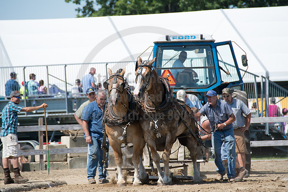 2016DCF_08242016_SCL_9190