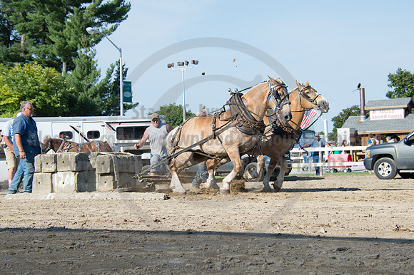 2016DCF_08242016_SCL_9495