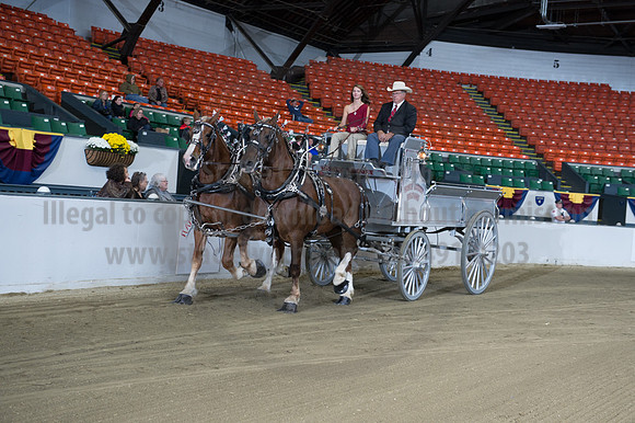 NABC8_10152016_SCL_0767