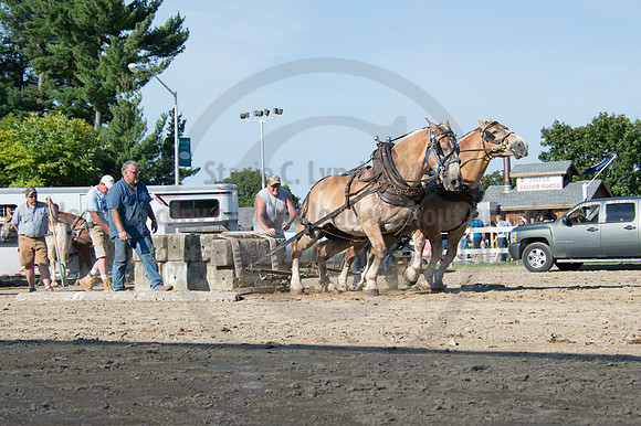 2016DCF_08242016_SCL_9498