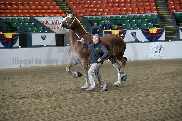 NABC8_10132016_SCL_5125