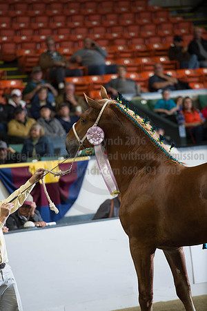 NABC8_10122016_SCL_4132
