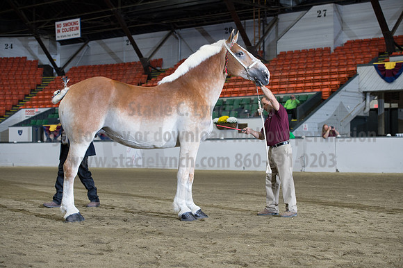 NABC8_10132016_SCL_5266
