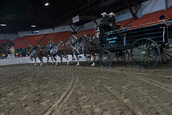 NABC8_10142016_SCL_8672