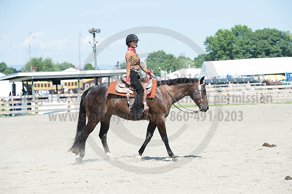 2016DCF_08272016_SCL_1233