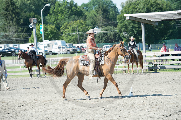 2016DCF_08272016_SCL_1101