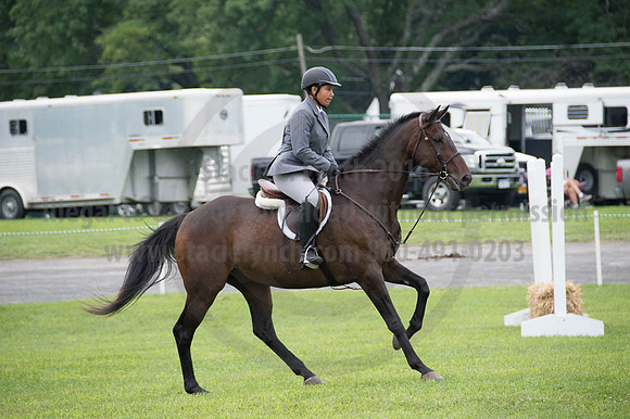 2016DCF_08252016_SCL_9960