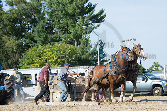 2016DCF_08242016_SCL_9518