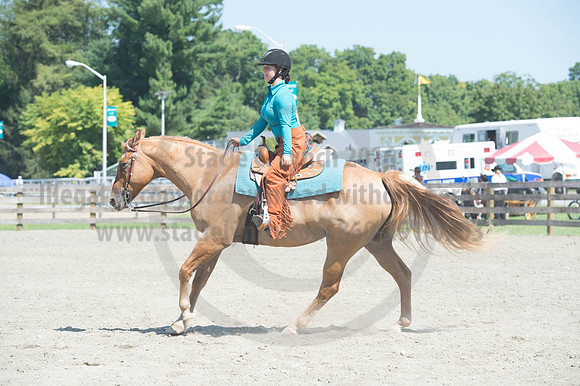 2016DCF_08272016_SCL_1229