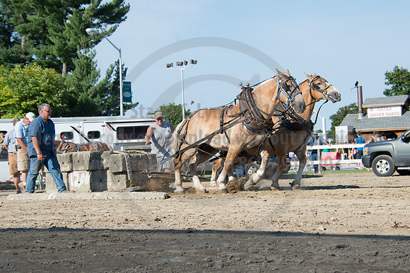 2016DCF_08242016_SCL_9496