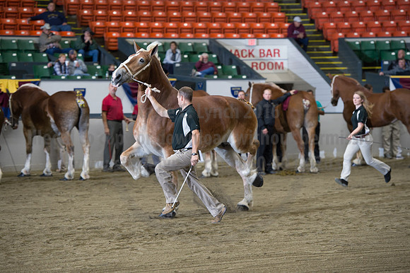 NABC8_10132016_SCL_5245