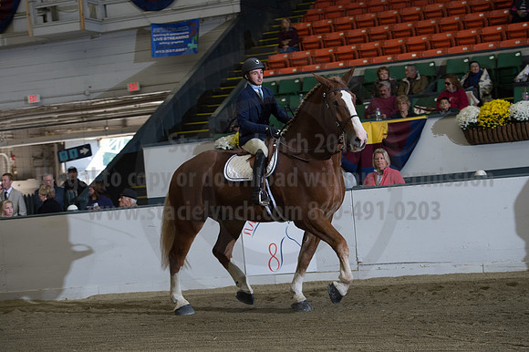 NABC8_10152016_SCL_0619