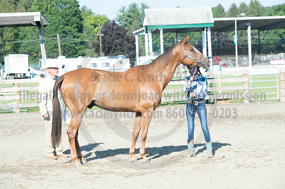 2016DCF_08272016_SCL_0939