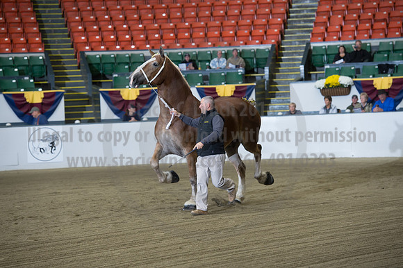 NABC8_10132016_SCL_5124