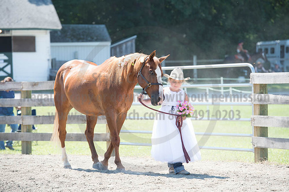 2016DCF_08272016_SCL_1255