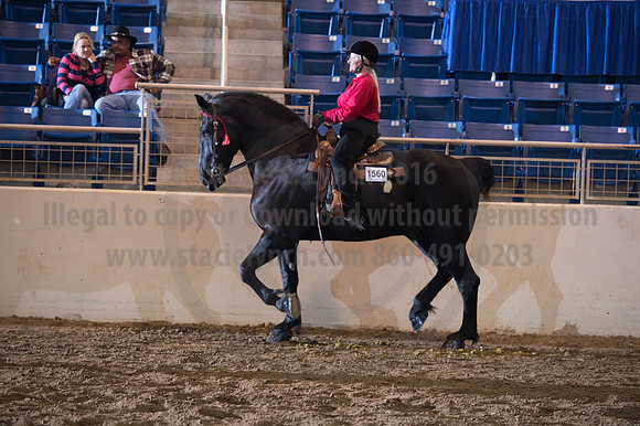 2016 _KILE_10082016_SCL9451
