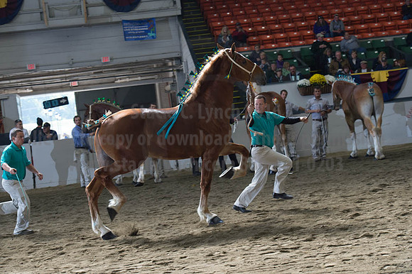 NABC8_10122016_SCL_2881