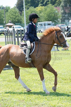 2016DCF_08242016_SCL_8915