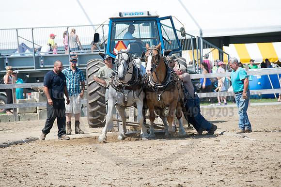 2016DCF_08242016_SCL_9196