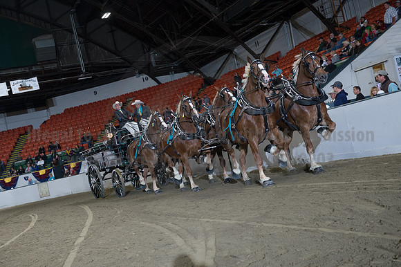 NABC8_10142016_SCL_8655