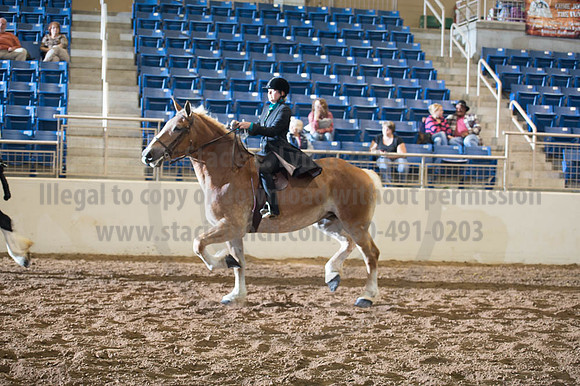 2016 _KILE_10082016_SCL9406