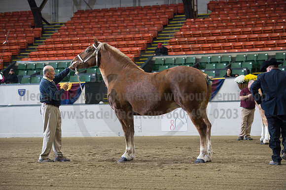 NABC8_10132016_SCL_5044