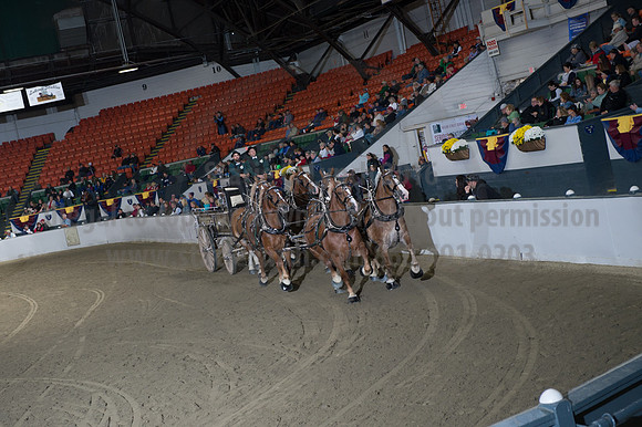 NABC8_10142016_SCL_8754